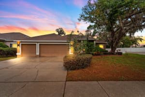 2539 CENTENNIAL FALCON DRIVE, VALRICO, FL 33596 - MLS#MFRTB8373014