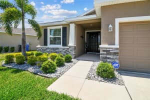 16625 GOOSE RIBBON PLACE, WIMAUMA, FL 33598 Sold 07/16/25
