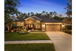 16442 BRIDGEWALK DRIVE, LITHIA, FL 33547 Sold 06/03/25