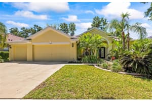 2613 Bonterra Blvd, VALRICO