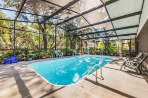 34651 APPALOOSA TRAIL, ZEPHYRHILLS, FL 33541 Sold 06/25/25