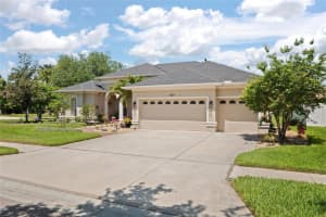 3009 SHEEHAN DRIVE, LAND O LAKES, FL 34638 Sold 07/02/25