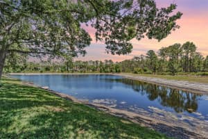 17537 FAIRMEADOW DRIVE, TAMPA, FL 33647 Sold 08/19/25