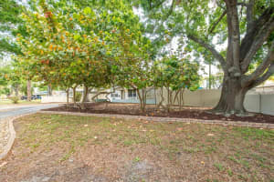 8031 7TH STREET, ST PETERSBURG, FL 33702 Sold 06/18/25