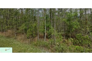 GREEN POND RD, POLK CITY, FL 33868 - MLS#MFRTB8373373