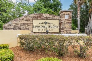 10103 COURTNEY OAKS CIRCLE, TAMPA, FL 33619 Sold 06/20/25