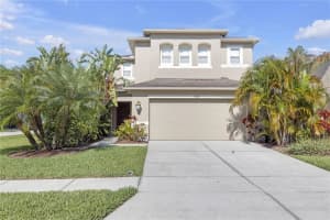 9107 Gablewood Pl, LAND O LAKES
