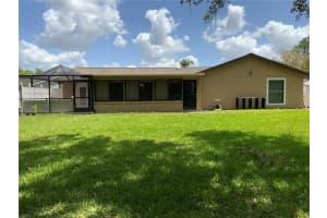 819 SATINLEAF AVENUE, OLDSMAR, FL 34677 - MLS#MFRTB8373408
