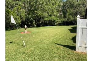 819 SATINLEAF AVENUE, OLDSMAR, FL 34677 - MLS#MFRTB8373408