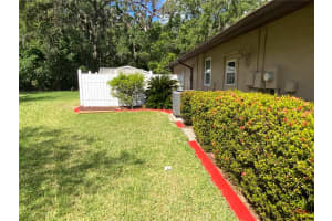 819 SATINLEAF AVENUE, OLDSMAR, FL 34677 - MLS#MFRTB8373408