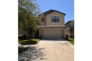 12717 LEMON PEPPER DRIVE, RIVERVIEW, FL 33578 - MLS#MFRTB8373459