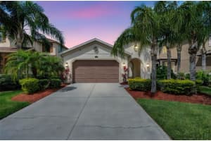 29219 PERILLI PLACE, WESLEY CHAPEL, FL 33543 Sold 06/13/25