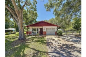 1444 OAK HAVEN DRIVE, SAFETY HARBOR, FL 34695 - MLS#MFRTB8373495