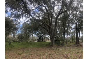 0 S COUNTY ROAD 39, LITHIA, FL 33547 Sold 06/17/25