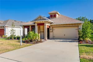 14174 THOROUGHBRED DRIVE, DADE CITY, FL 33525 - MLS#MFRTB8373536