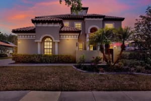 8420 Dunham Station Dr, TAMPA