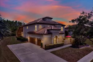 8420 DUNHAM STATION DRIVE, TAMPA, FL 33647 - MLS#MFRTB8373561