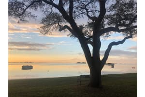 2700 BAYSHORE BOULEVARD, DUNEDIN, FL 34698 - MLS#MFRTB8373624