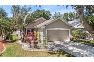11841 WHISPER CREEK DRIVE, RIVERVIEW, FL 33569 Sold 06/05/25