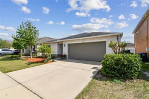 10603 MASSIMO DRIVE, WIMAUMA, FL 33598 Sold 06/02/25