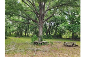 7375 TURKEYNECK COURT, HOMOSASSA, FL 34448 Sold 08/08/25