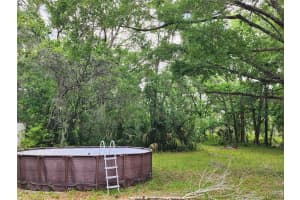 7375 TURKEYNECK COURT, HOMOSASSA, FL 34448 Sold 08/08/25