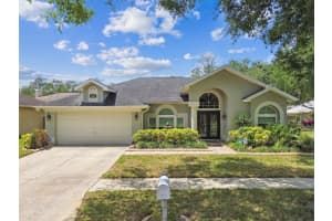 16608 MEADOW COVE STREET, TAMPA, FL 33624 Sold 07/11/25
