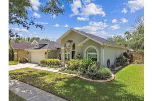 16608 MEADOW COVE STREET, TAMPA, FL 33624 Sold 07/11/25