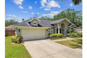 16608 MEADOW COVE STREET, TAMPA, FL 33624 Sold 07/11/25
