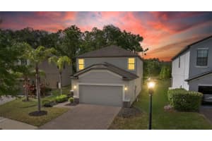 9908 Spice Bush Ct, TAMPA