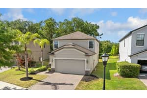 9908 SPICE BUSH COURT, TAMPA, FL 33647 - MLS#MFRTB8373894