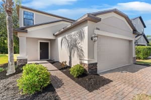 9908 SPICE BUSH COURT, TAMPA, FL 33647 - MLS#MFRTB8373894