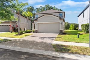 9908 SPICE BUSH COURT, TAMPA, FL 33647 - MLS#MFRTB8373894