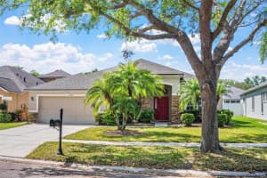 1418 Hurley Pond Ln, VALRICO