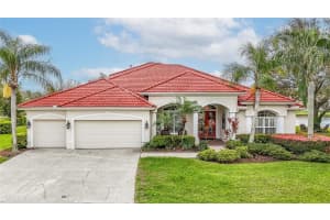 18002 Forest Retreat Ln, TAMPA
