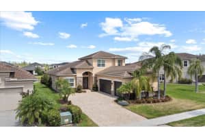 31382 CHESAPEAKE BAY DRIVE, WESLEY CHAPEL, FL 33543 - MLS#MFRTB8373970