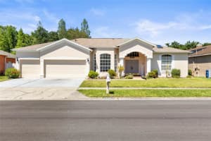 28451 Great Bend Pl, WESLEY CHAPEL