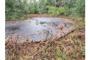 7510 DUNNELLON ROAD, DUNNELLON, FL 34433 Sold 05/09/25