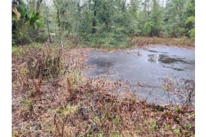 7510 DUNNELLON ROAD, DUNNELLON, FL 34433 Sold 05/09/25