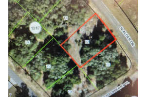 10804 N ADLER DR, CITRUS SPRINGS, FL 34434 - MLS#MFRTB8373983