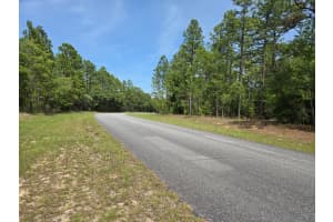 10804 N ADLER DR, CITRUS SPRINGS, FL 34434 - MLS#MFRTB8373983