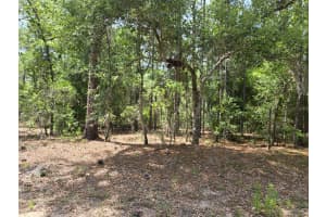 10804 N ADLER DR, CITRUS SPRINGS, FL 34434 - MLS#MFRTB8373983