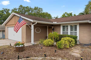 1686 SPOTTSWOOD CIRCLE, PALM HARBOR, FL 34683 - MLS#MFRTB8373989