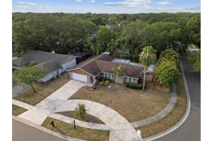 1686 SPOTTSWOOD CIRCLE, PALM HARBOR, FL 34683 - MLS#MFRTB8373989