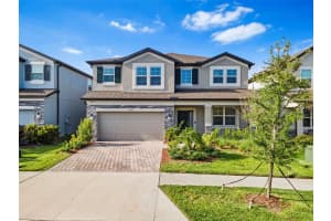 33263 Sycamore Leaf Dr, WESLEY CHAPEL