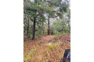 10167 BOOTY TERRACE, DUNNELLON, FL 34433 Sold 09/17/25
