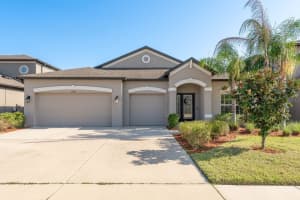 11407 Acacia Grove Ln, RIVERVIEW