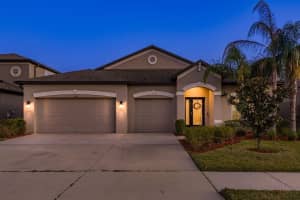 11407 ACACIA GROVE LANE, RIVERVIEW, FL 33579 - MLS#MFRTB8373994
