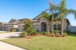 11407 ACACIA GROVE LANE, RIVERVIEW, FL 33579 - MLS#MFRTB8373994