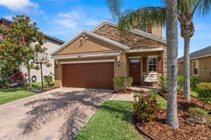 11656 LAKE BOULEVARD, NEW PORT RICHEY, FL 34655 - MLS#MFRTB8374014